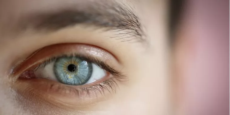 Se libérer des traumatismes avec le RITMO®, l'EMDR dédié à l'Hypnose, Crest, Agnès Augier Hypnothérapeute